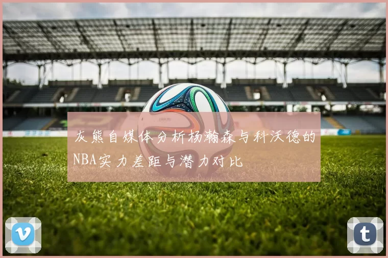 灰熊自媒体分析杨瀚森与科沃德的NBA实力差距与潜力对比